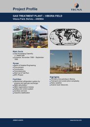 Gas Treatment Plant - Víbora Field - Tecna