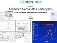 Advanced Carbonate Petrophysics - GeoNeurale