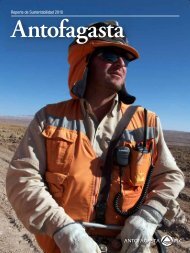 Reporte de Sustentabilidad 2010 - Antofagasta plc