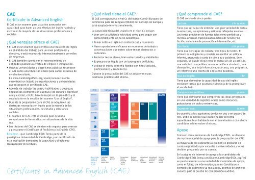 CAE Leaflet