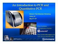 An Introduction to PCR and Quantitative PCR