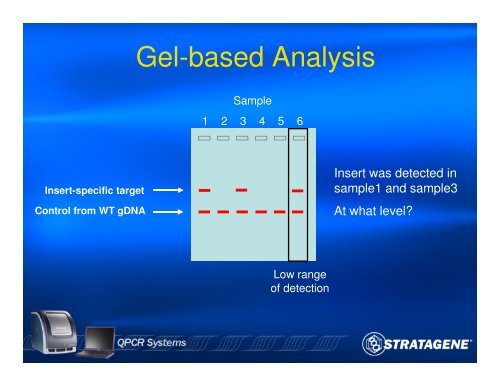 An Introduction to PCR and Quantitative PCR