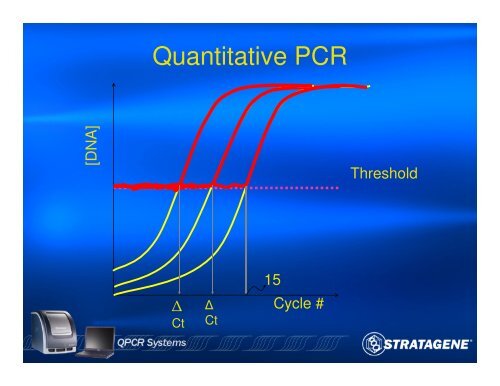 An Introduction to PCR and Quantitative PCR