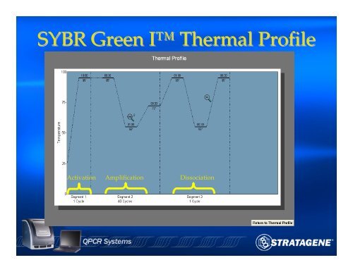 An Introduction to PCR and Quantitative PCR