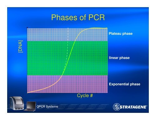 An Introduction to PCR and Quantitative PCR