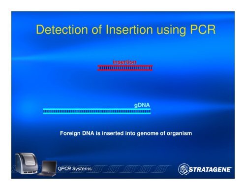 An Introduction to PCR and Quantitative PCR