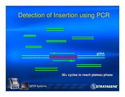 An Introduction to PCR and Quantitative PCR