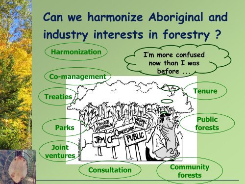 What is harmonization - Canadian Institute of Forestry