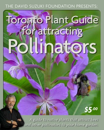 Toronto Plant Guide for Attracting Pollinators (PDF) - David Suzuki ...