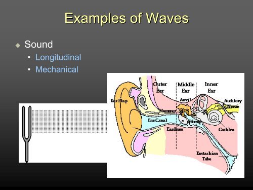 Introduction to Waves and Oscillations Presentation