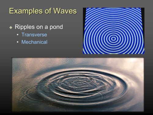 Introduction to Waves and Oscillations Presentation