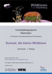 Sumsel, die kleine Wildbiene - Wildbienen in der Umweltbildung