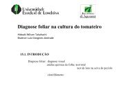 Diagnose foliar na cultura do tomate - Nutricao de Plantas