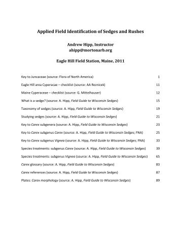 Field Identification of  Sedges and Rushes, Eagle Hill