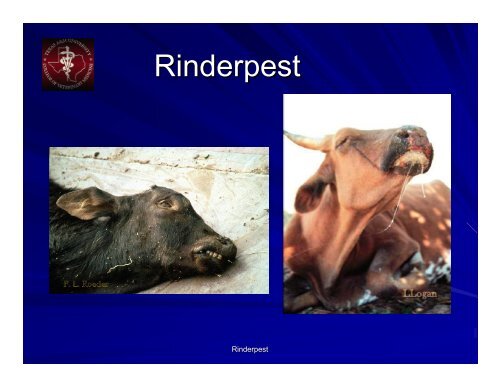 Rinderpest Powerpoint - College of Veterinary Medicine - Texas ...