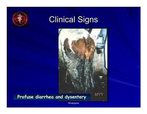 Rinderpest Powerpoint - College of Veterinary Medicine - Texas ...