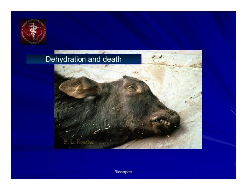 Rinderpest Powerpoint - College of Veterinary Medicine - Texas ...