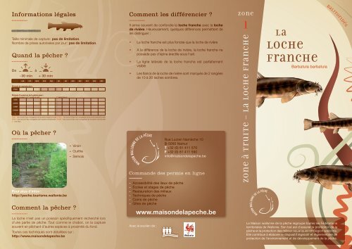 Fiche poisson - La loche franche