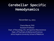 Cerebellar Specific Hemodynamics - Neurometrika