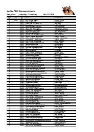 Agility 2009 Donaueschingen Zeitplan : Jumping 2 ... - SV - MEDIA.tv