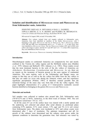 Isolation and identification of Micrococcus roseus and Planococcus ...