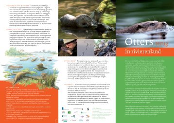 Otters terug in rivierenland (otterfolder) - ARK Natuurontwikkeling