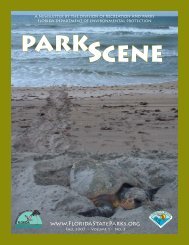 Park Scene - Institute for Regional Conservation