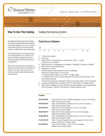 How To Use This  Catalog Catalog Numbering ... - Biosense Webster