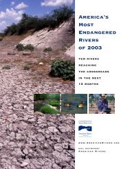 America's Most Endangered Rivers of 2003 - Water Resources ...