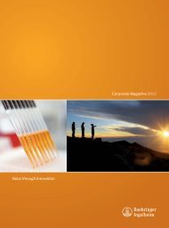 PDF (14.14 MB) - Boehringer Ingelheim Annual Report 2012