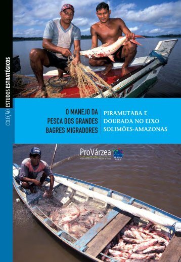 o manejo da pesca dos grandes bagres migradores - Philip M ...