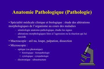 Cours anapath D1 2? - FacultÃ© de mÃ©decine Saint-Antoine