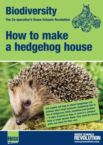 Hedgehog Houses - The Co-operative