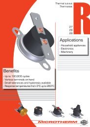 R28-series.pdf (551.2 KB) - Microtherm