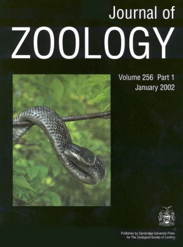Comparative Demography of Black Rat Snakes (Elaphe Obsoleta)