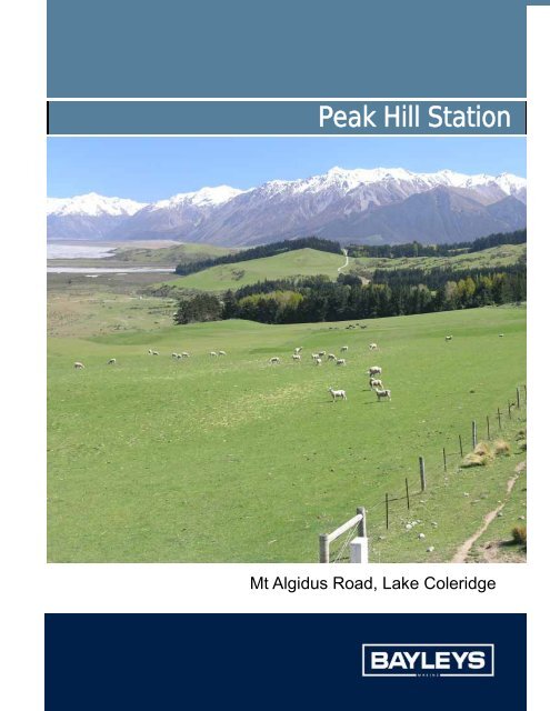 Peak Hill Station