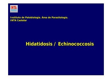 Hidatidosis-Echinococcosis - INTA