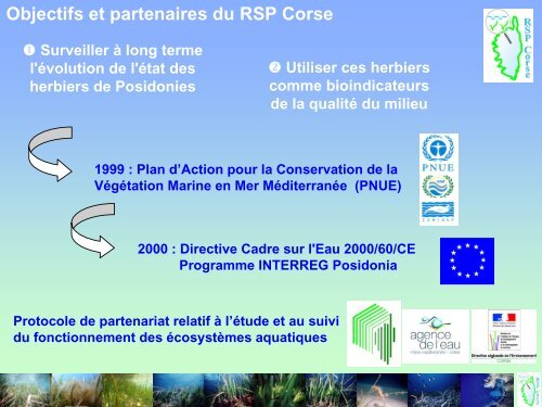 Les sites du RSP Corse - Ifremer