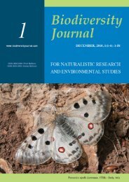 Muscarella C., 2010. Parnassius apollo - Biodiversity Journal
