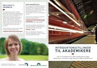 Introduktionsstillinger til Akademikere