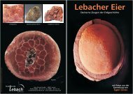 Flyer Lebacher Eier.cdr - Historischer Verein Lebach EV