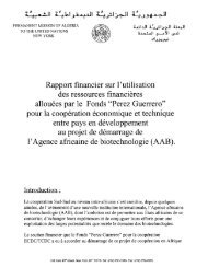 Rapport financier sur I'utiIisation des ressources ... - The Group of 77
