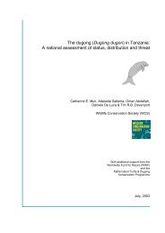 Dugong dugon - Sirenian International