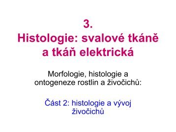 3. Histologie: svalové tkáně - eAMOS