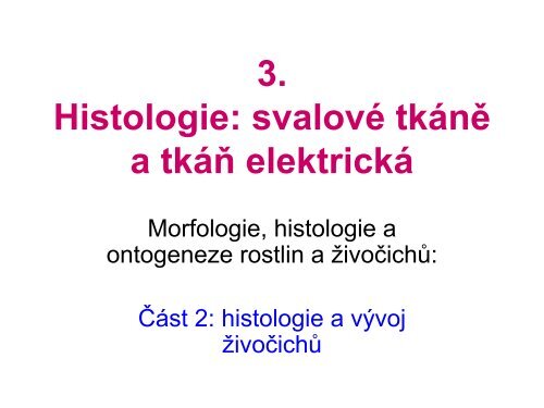 3. Histologie: svalové tkáně - eAMOS