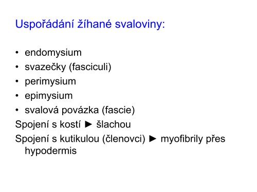 3. Histologie: svalové tkáně - eAMOS