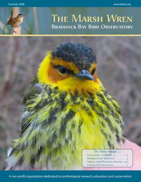 Summer 2006 - Braddock Bay Bird Observatory