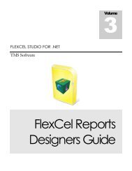 FlexCel Reports Designers Guide - TMS Software