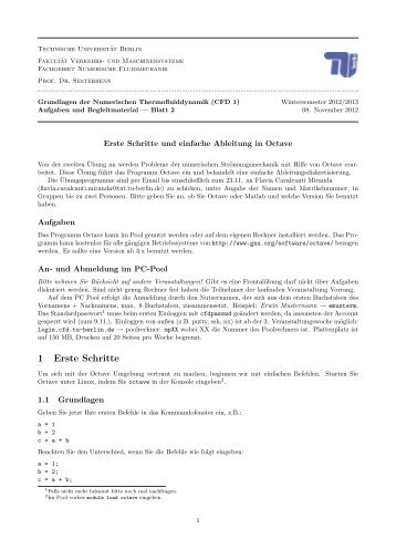 2. Aufgabenblatt CFD 1 - TU Berlin