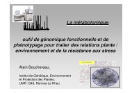 La métabolomique, outil de génomique fonctionnelle ... - Biogenouest